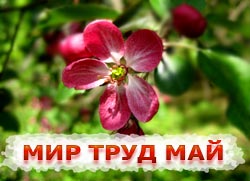 Свято 1 травня - Свято весни і праці (День праці)