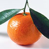 Ефірне масло апельсина: застосування, дія і лікувальні властивості. Ефірне масло апельсина для шкіри і проти целюліту
