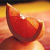Ефірне масло грейпфрута: склад і користь. Масло грейпфрута в косметології: для обличчя та волосся. Показання та протипоказання грейпфрутового масла