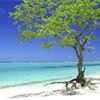 Острів Маврикій. Клімат, туризм і відпочинок на острові Маврикій