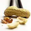 Горіхи арахіс: склад, користь і лікування арахісом. Норма споживання арахісу