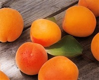 Корисні і лікувальні властивості абрикосів