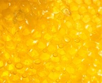 Корисні й цілющі (лікувальні) властивості меду. Чим корисний мед. Лікування медом