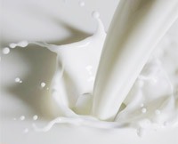 Молоко. Лікувальні і цілющі (лікувальні) властивості молоко. Чим корисне молоко