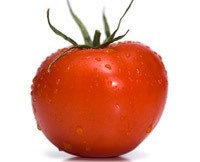 Корисні й цілющі (лікувальні) властивості помідора (томату). Чим корисний помідор (томат). Лікування томатом