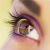 Поліпшення зору за методом доктора Вільяма Р. Бейтса. Метод лікування очей і відновлення зору Бейтса